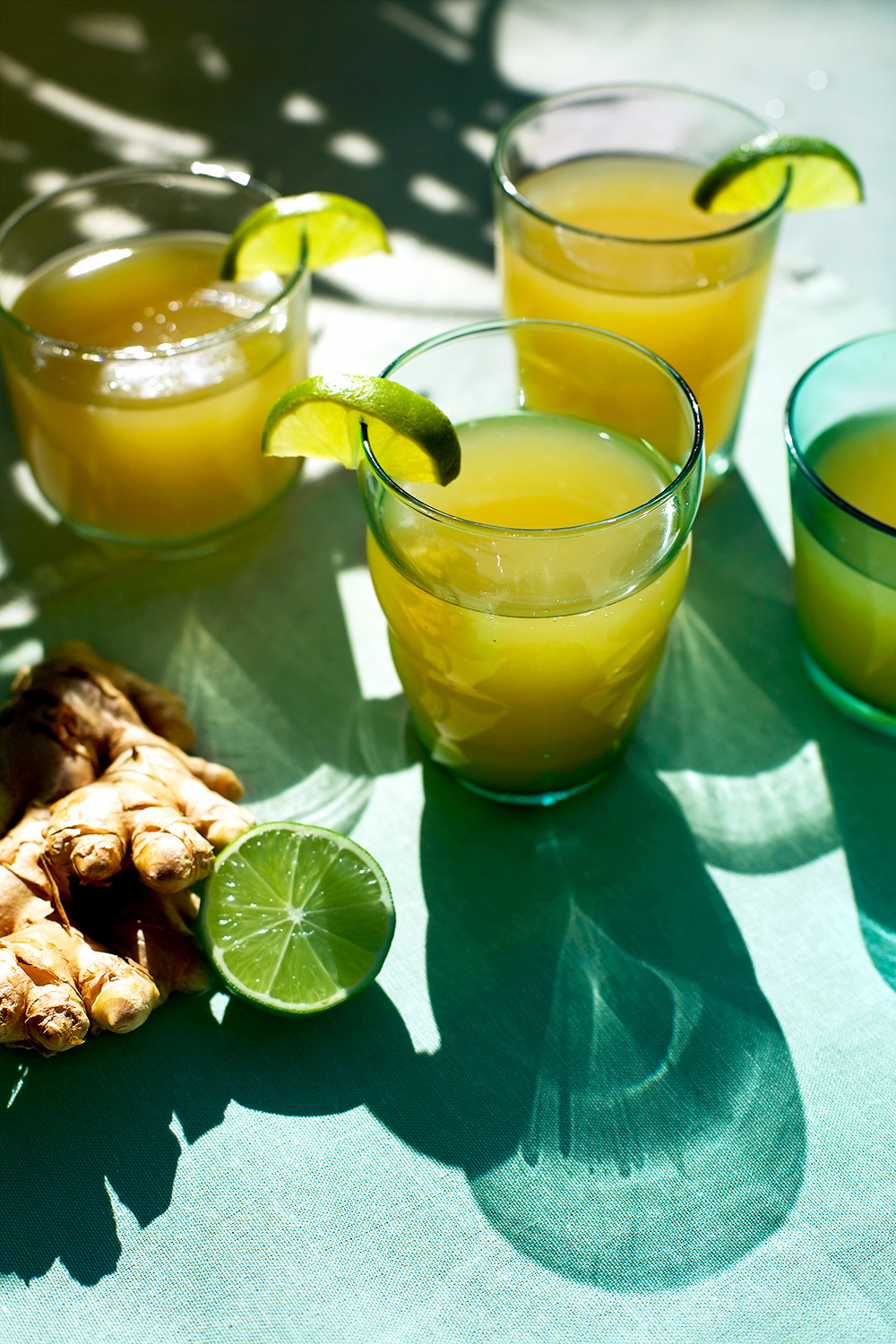 Homemade Ginger Beer ⋆